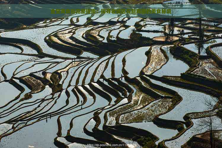 金堂美食街完整指南：探寻老城区与新商圈的美食秘境