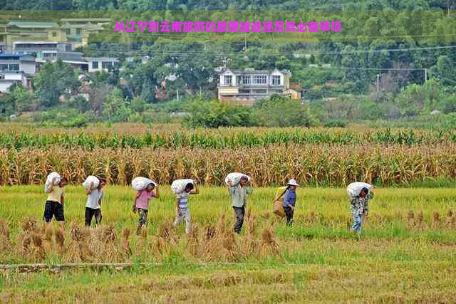 从辽宁到云南旅游的最便捷途径及其必备事项