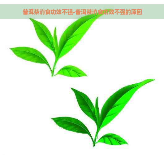 普洱茶消食功效不强-普洱茶消食功效不强的原因