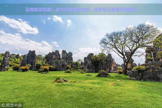 云南旅游指南：全方位防蚊虫攻略，保护自己免受叮咬困扰