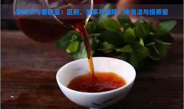 普洱茶与紫砂壶：区别、关系与选择，冲泡法与投茶量