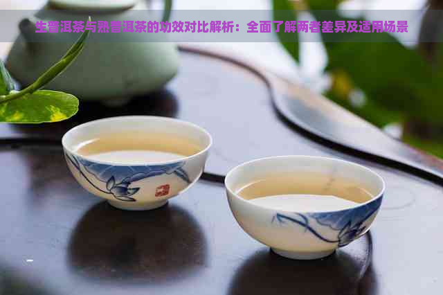 生普洱茶与熟普洱茶的功效对比解析：全面了解两者差异及适用场景