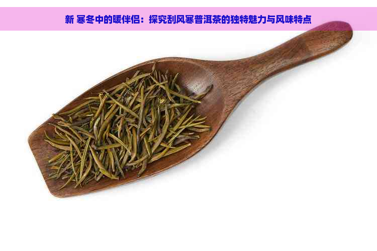 新 寒冬中的暖伴侣：探究刮风寒普洱茶的独特魅力与风味特点