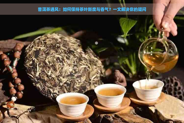 普洱茶通风：如何保持茶叶新度与香气？一文解决你的疑问