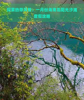 探索热带风情：一月份海南岛阳光沙滩度假攻略