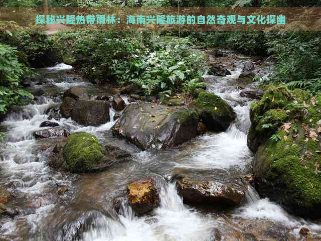 探秘兴隆热带雨林：海南兴隆旅游的自然奇观与文化探幽