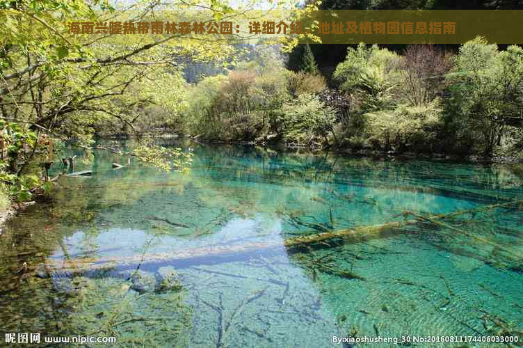 海南兴隆热带雨林森林公园：详细介绍、地址及植物园信息指南