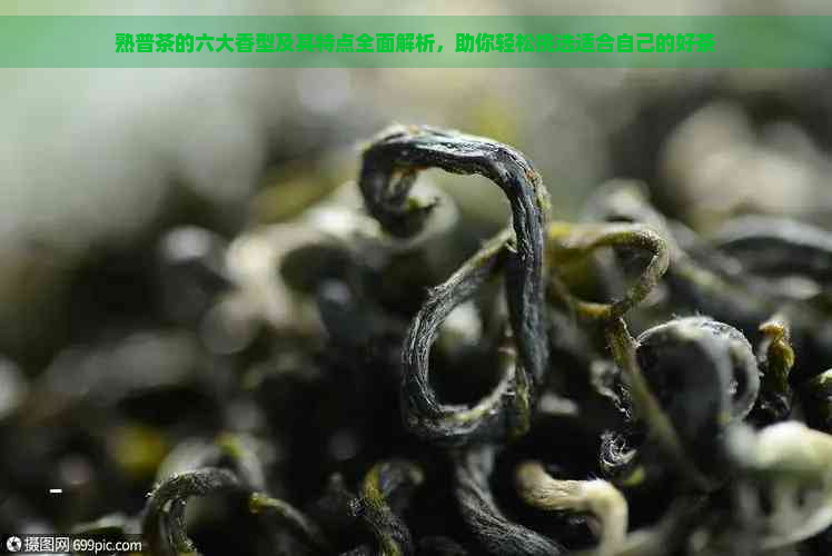 熟普茶的六大香型及其特点全面解析，助你轻松挑选适合自己的好茶