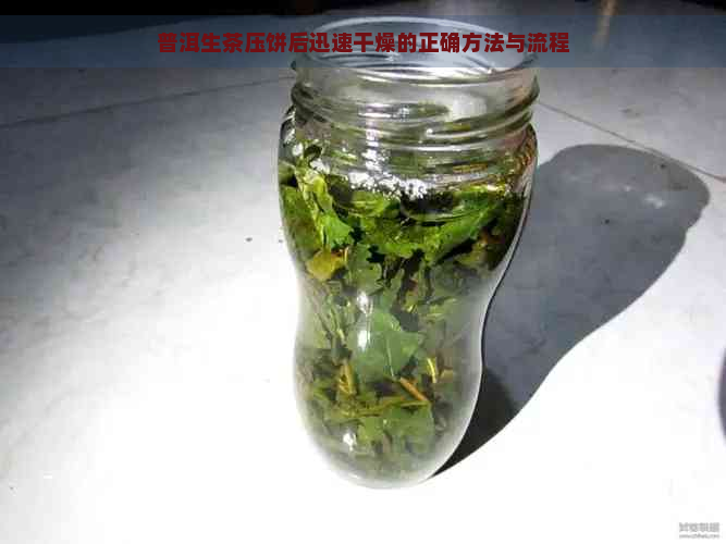 普洱生茶压饼后迅速干燥的正确方法与流程