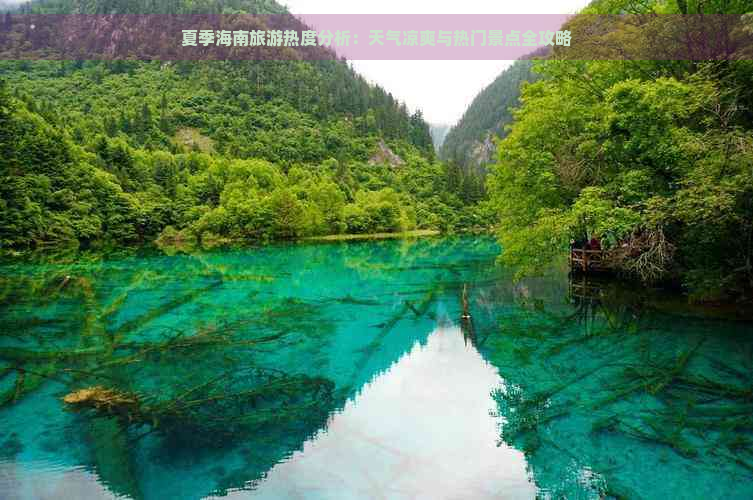 夏季海南旅游热度分析：天气凉爽与热门景点全攻略