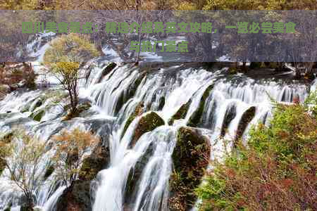 四川美食景点：精选介绍及英文攻略，一览必尝美食与热门景点