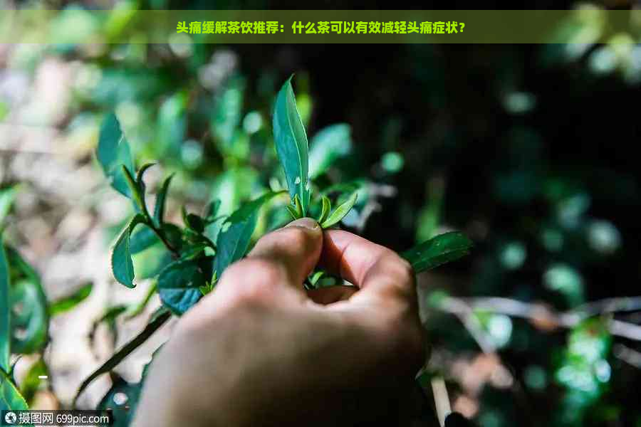 头痛缓解茶饮推荐：什么茶可以有效减轻头痛症状？