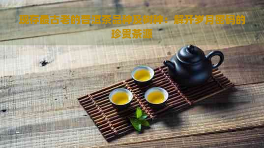 现存最古老的普洱茶品种及树种：解开岁月密码的珍贵茶源