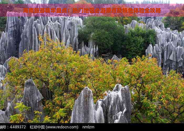 海南旅游精华盘点：热门地区必游景点及特色体验全攻略