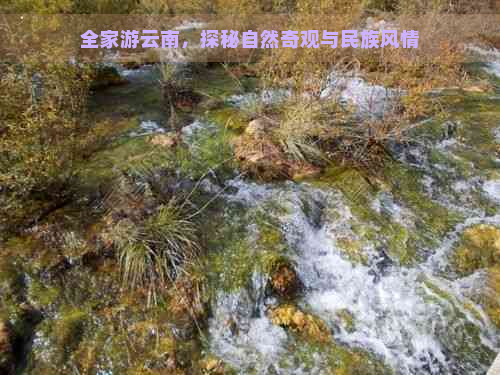 全家游云南，探秘自然奇观与民族风情