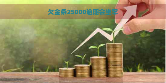 欠金条25000逾期会坐牢