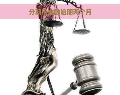 金融逾期两个月