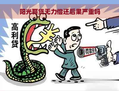 阳光薪贷无力偿还后果严重吗