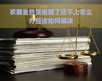 农商金燕贷逾期了还不上怎么办应该如何解决