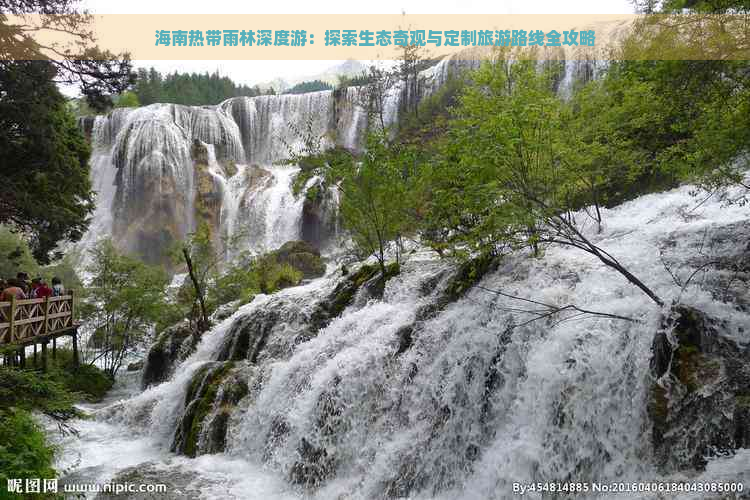 海南热带雨林深度游：探索生态奇观与定制旅游路线全攻略