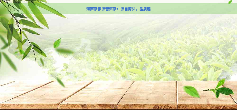 河南茶根源普洱茶：源自源头，品质越