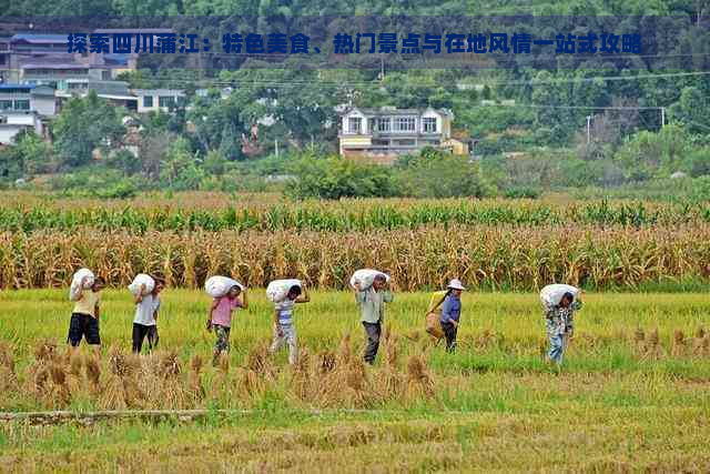 探索四川蒲江：特色美食、热门景点与在地风情一站式攻略