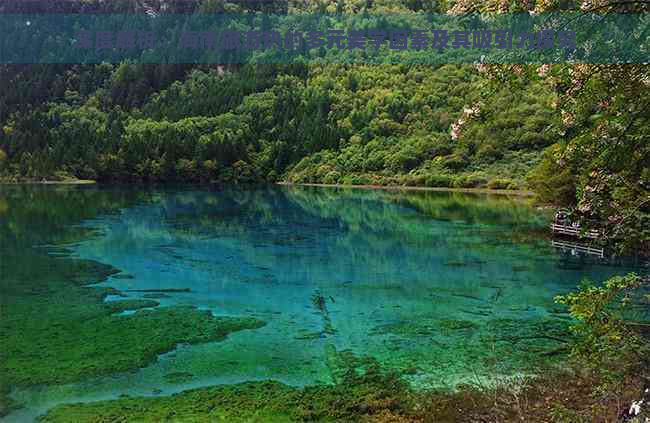 深度解析：海南旅游热的多元美学因素及其吸引力探究