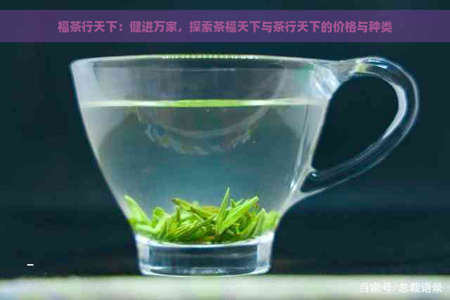 福茶行天下：健进万家，探索茶福天下与茶行天下的价格与种类