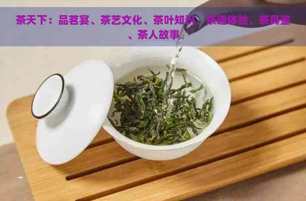 茶天下：品茗宴、茶艺文化、茶叶知识、茶道体验、茶具鉴、茶人故事