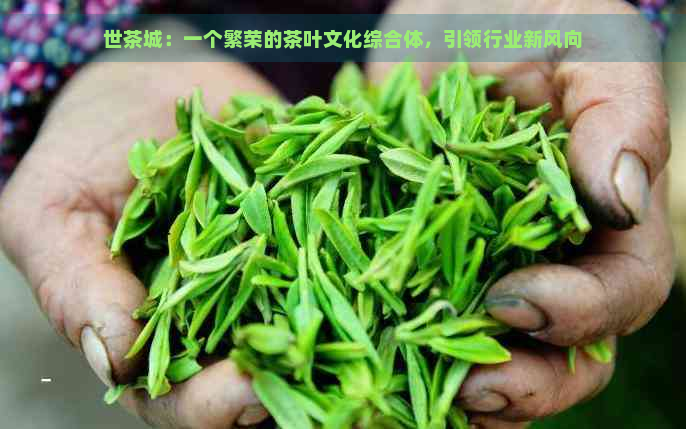 世茶城：一个繁荣的茶叶文化综合体，引领行业新风向