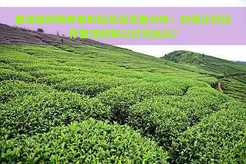 普洱茶熟茶存放时间及保质期分析：如何正确保存普洱熟茶以长其品质？