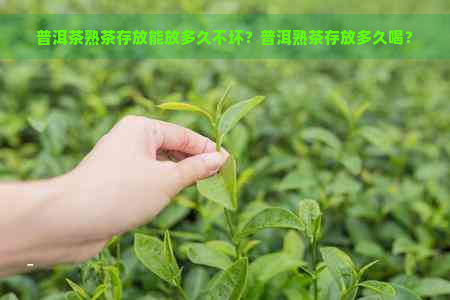 普洱茶熟茶存放能放多久不坏？普洱熟茶存放多久喝？