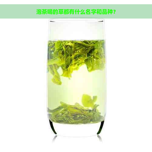 泡茶喝的草都有什么名字和品种？