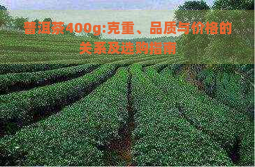 普洱茶400g:克重、品质与价格的关系及选购指南