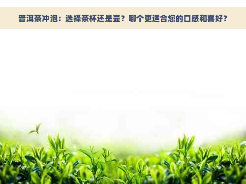 普洱茶冲泡：选择茶杯还是壶？哪个更适合您的口感和喜好？