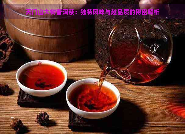 天门山大树普洱茶：独特风味与越品质的秘密解析