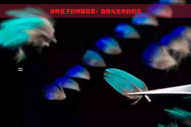 冰种豆子的神秘寓意：自然与生命的启示