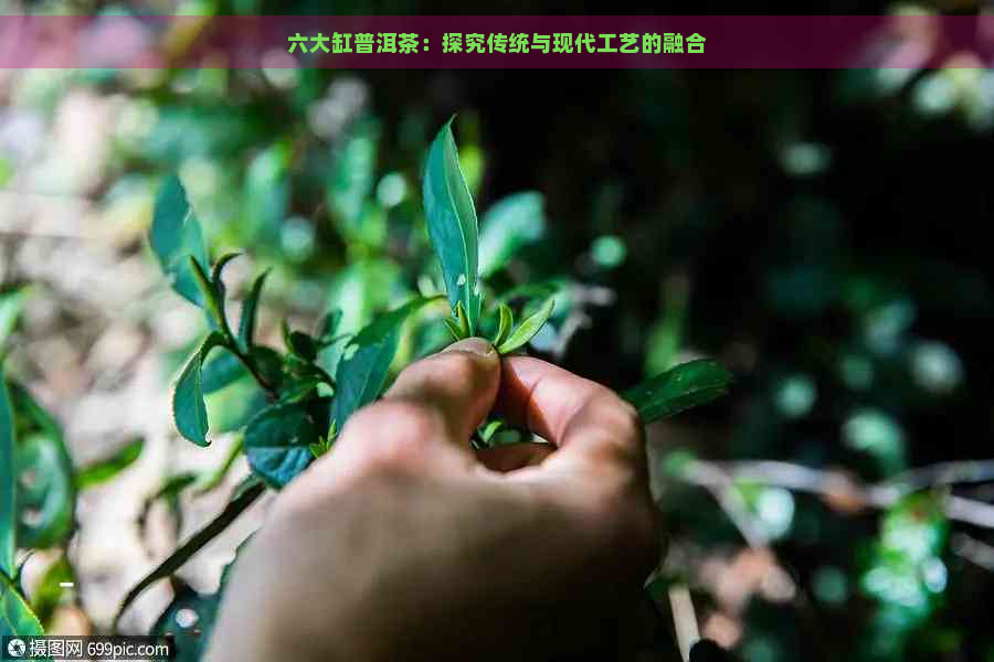 六大缸普洱茶：探究传统与现代工艺的融合