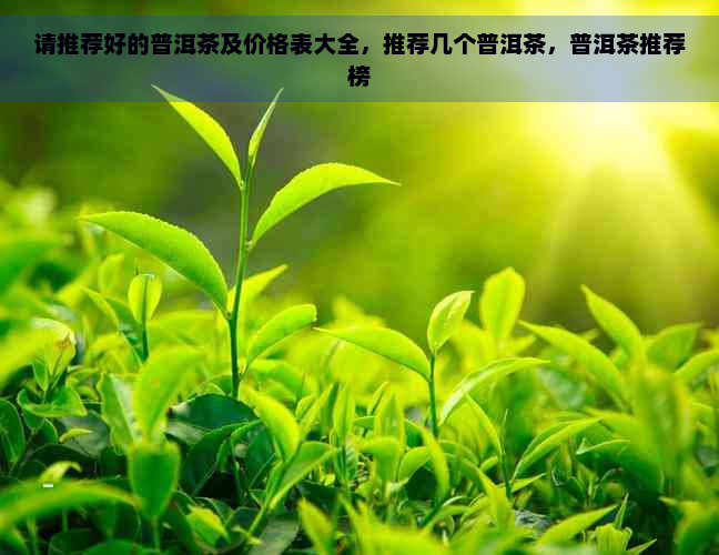 请推荐好的普洱茶及价格表大全，推荐几个普洱茶，普洱茶推荐榜