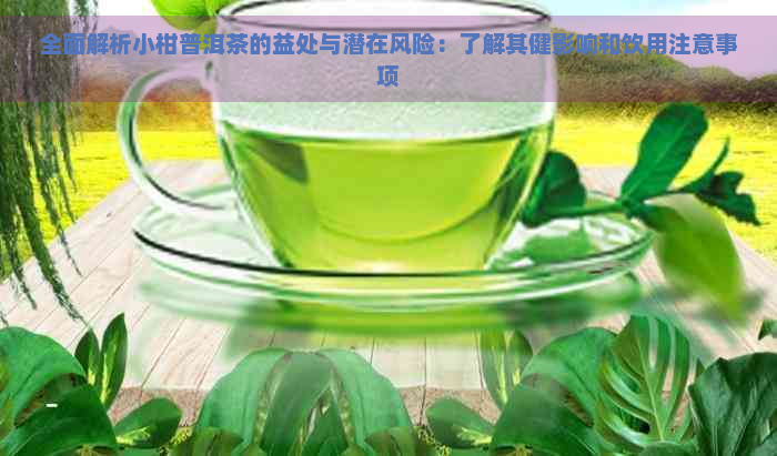 全面解析小柑普洱茶的益处与潜在风险：了解其健影响和饮用注意事项