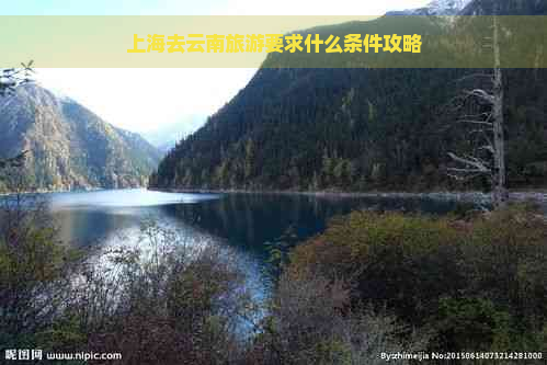 上海去云南旅游要求什么条件攻略