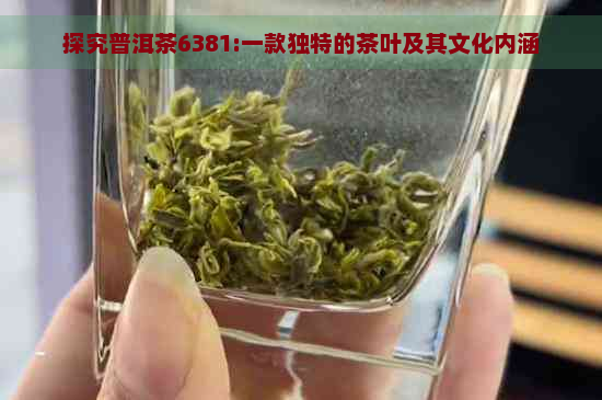 探究普洱茶6381:一款独特的茶叶及其文化内涵