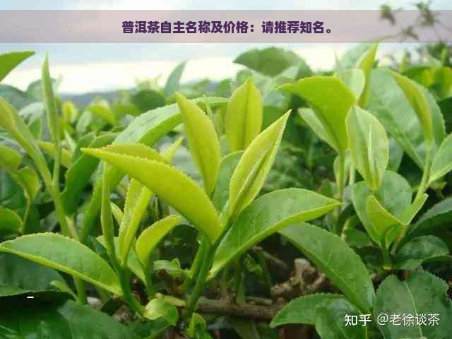 普洱茶自主名称及价格：请推荐知名。