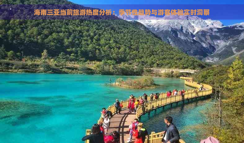 海南三亚当前旅游热度分析：季节性趋势与游客体验实时洞察