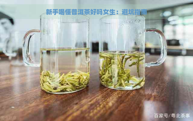 新手喝懂普洱茶好吗女生：避坑指南