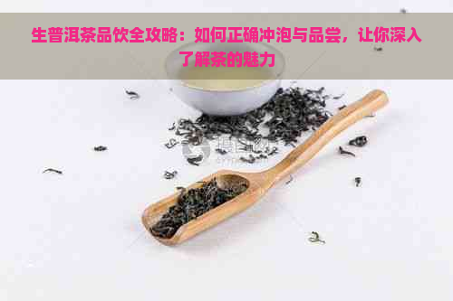 生普洱茶品饮全攻略：如何正确冲泡与品尝，让你深入了解茶的魅力