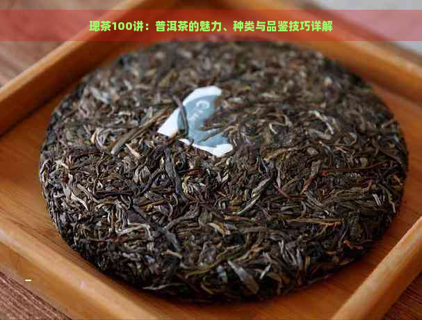 璁茶100讲：普洱茶的魅力、种类与品鉴技巧详解