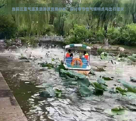 当前三亚气温及旅游适宜度分析：探讨季节性气候特点与出行建议