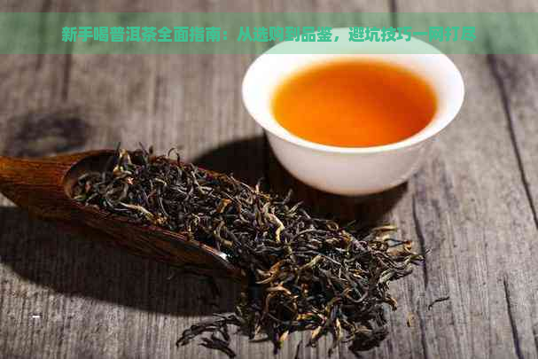 新手喝普洱茶全面指南：从选购到品鉴，避坑技巧一网打尽