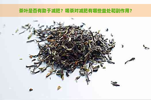 茶叶是否有助于减肥？喝茶对减肥有哪些益处和副作用？